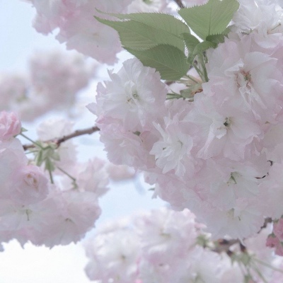 德惠FurryQQ群介绍